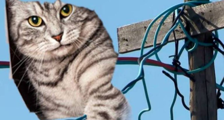Preso em Vilhena homem que fazia “gato” de energia elétrica pela segunda vez