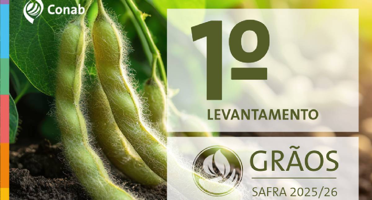 Primeiro levantamento da Conab prevê colheita de 354,7 milhões de toneladas de grãos na safra 2025/26