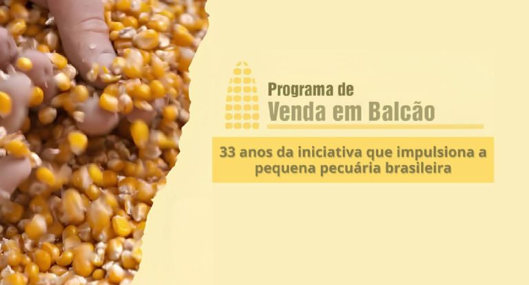 ProVB completa 33 anos fortalecendo a agricultura familiar e a produção de proteínas no país