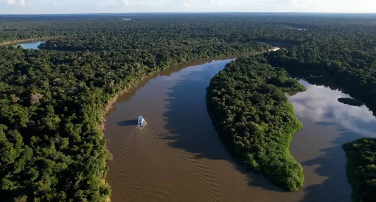 Relatório revela devastação na Amazônia por fazendas ilegais de gado