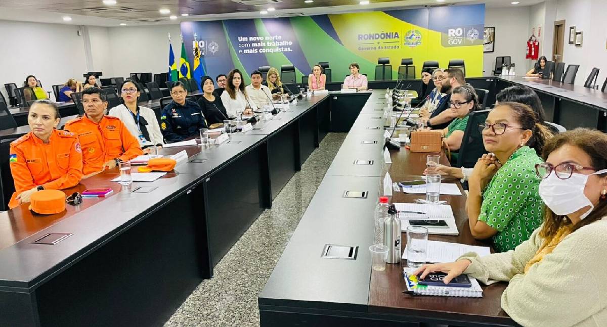 Rondônia apresenta diagnóstico da Primeira Infância em reunião do CEIPI