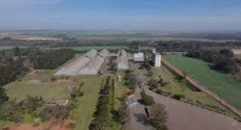 UNOPS publica licitação para projeto executivo de reforma da unidade da Conab em Ponta Grossa