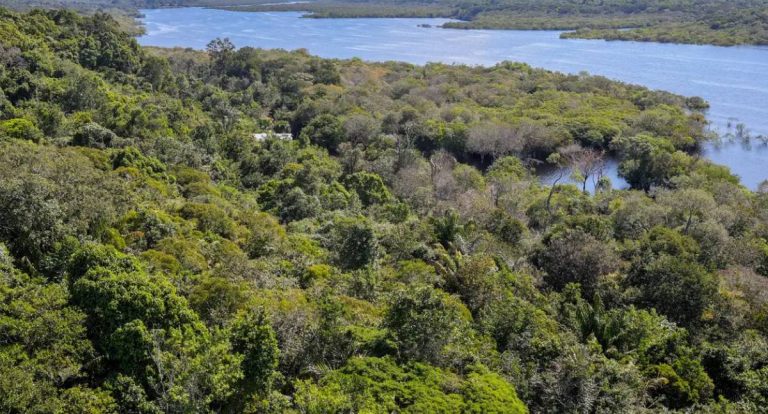 Vice-primeiro-ministro chinês vai à COP30 e visita o Uruguai