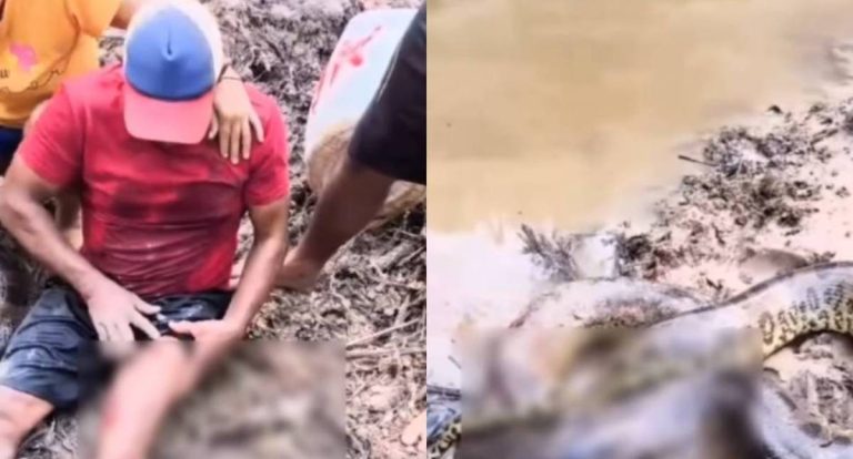 Vídeo de ataque de sucuri viraliza com informação falsa em Rondônia