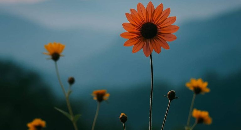 A beleza que poucos enxergam reside na essência e na coragem íntima