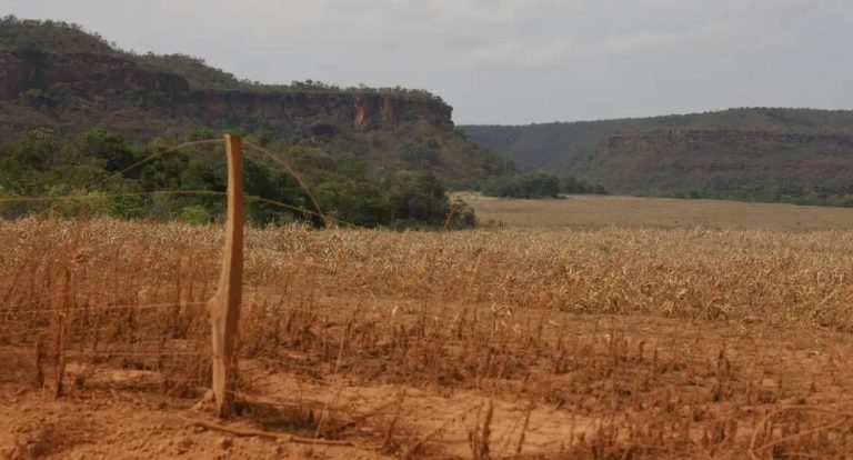 Acesso desigual ao Estado alimenta conflitos agrários no Cerrado
