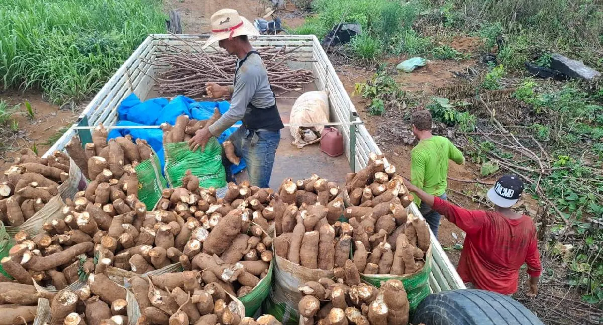 Agrotec celebra o crescimento da agricultura familiar em Porto Velho