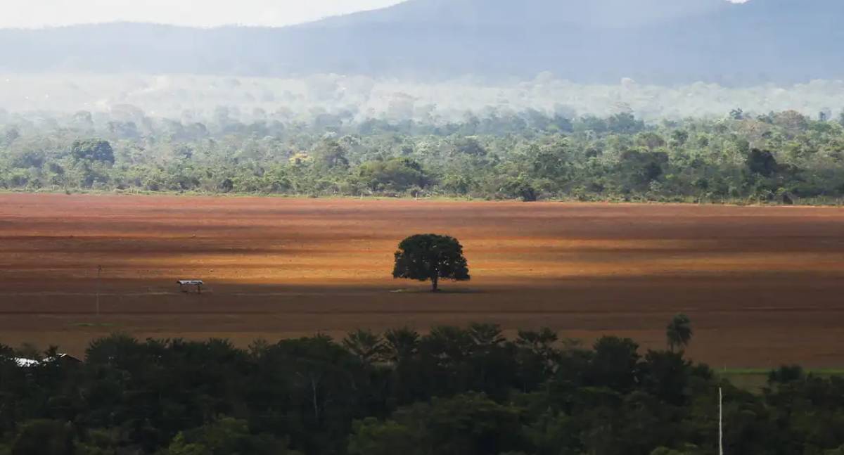AGU cobra R$ 476 milhões de infratores ambientais e anuncia força-tarefa na COP30