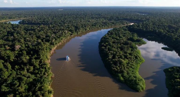 Amazônia registra menor desmatamento em 17 anos, avalia ICMBio