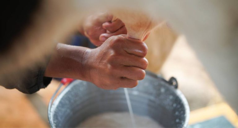 APRON e FAPERON realizam reunião preparatória para construção do Plano Estratégico do Leite em Rondônia