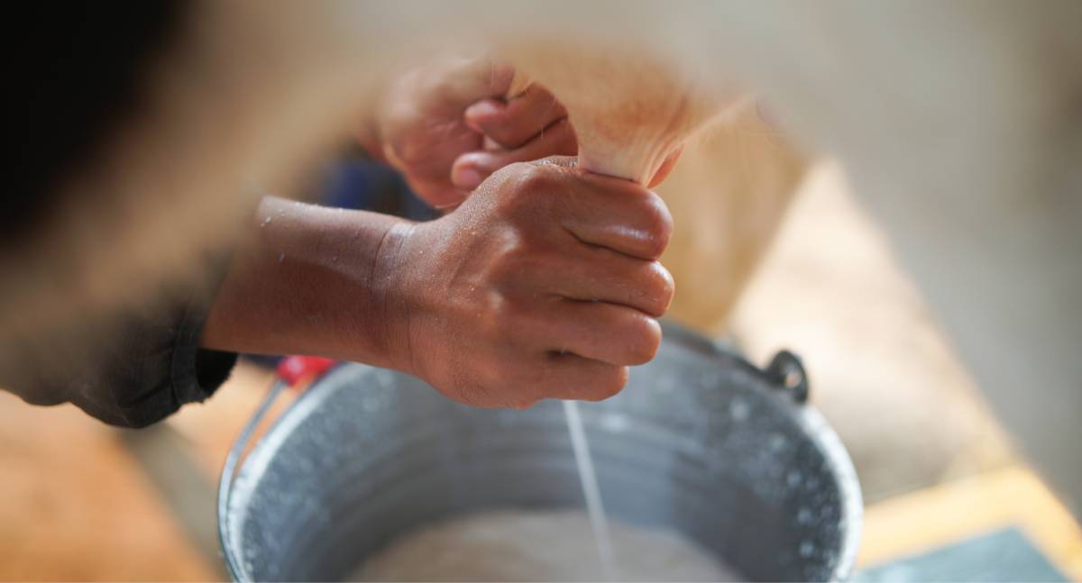 APRON e FAPERON realizam reunião preparatória para construção do Plano Estratégico do Leite em Rondônia