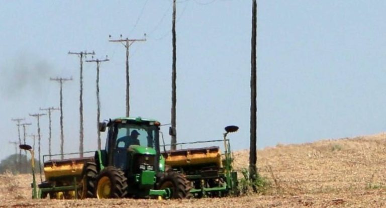 Área plantada para a safra cresce mais de 20% em Rondônia e acende alerta para riscos com maquinários próximos à rede elétrica