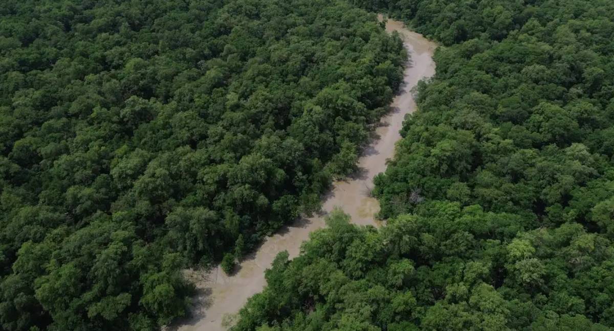 Áreas protegidas representam quase metade do território da Amazônia Legal