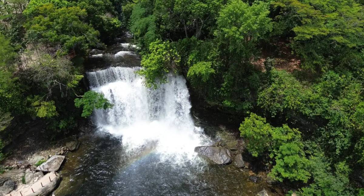 Ativistas exigem a mesma prioridade da Amazônia para a proteção do Cerrado