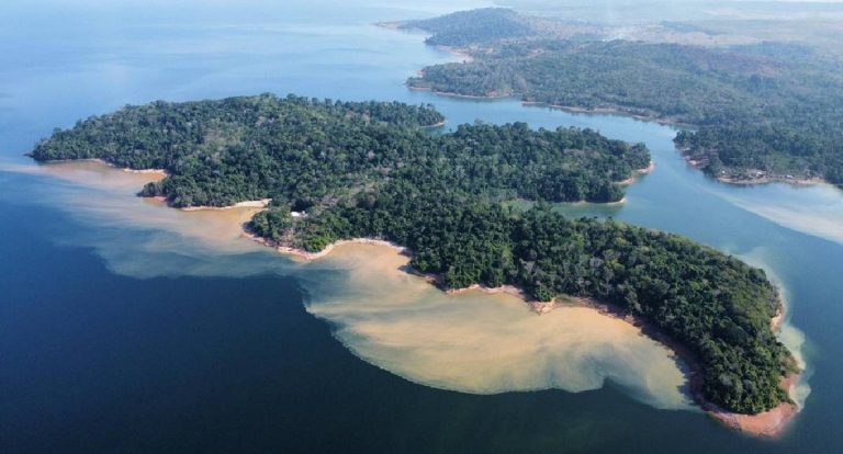 AXIA Energia planta 2,2 milhões de mudas e reforça compromisso com sustentabilidade