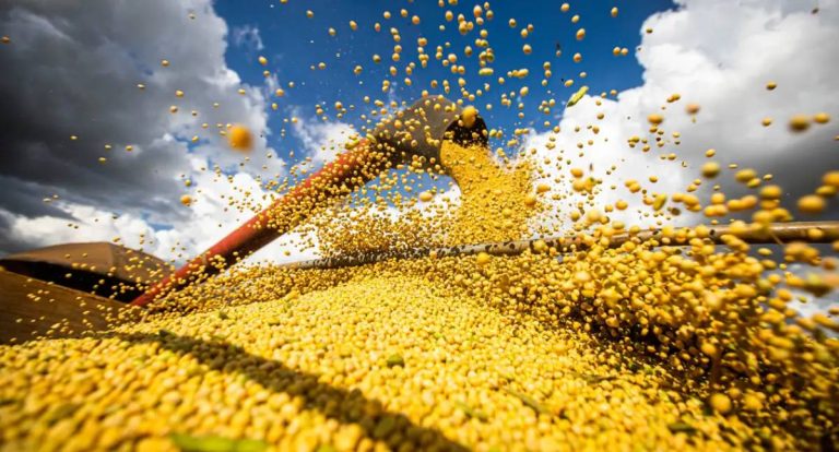 Brasil estima safra recorde de 354,8 milhões de toneladas de grãos