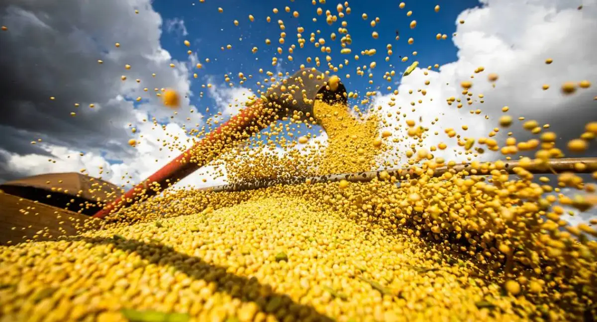 Brasil estima safra recorde de 354,8 milhões de toneladas de grãos
