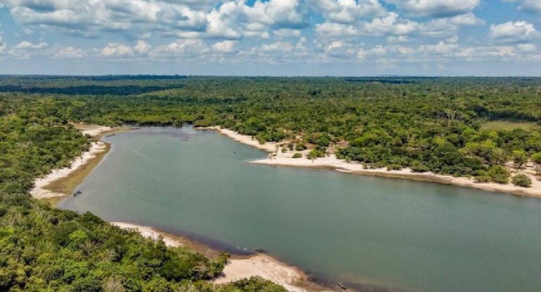 Brasil registra menor índice de desmatamento em Unidades de Conservação na Amazônia desde 2008