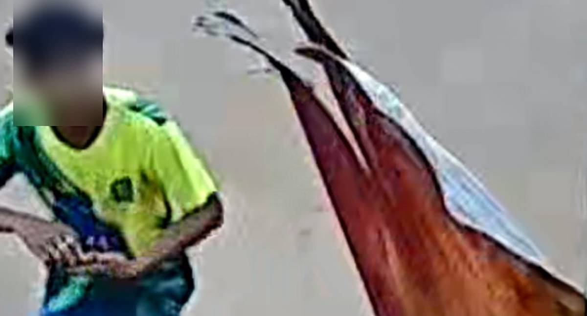 Câmeras flagram furto de celular e uso de cartão por aproximação em RO