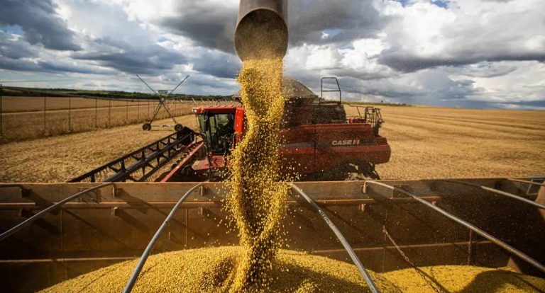 China zera importação de soja dos EUA; Brasil registra alta de 29%