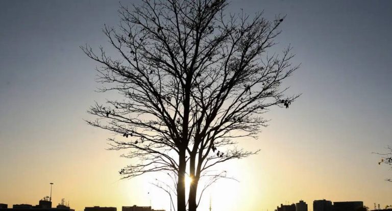 Cientista alerta para aquecimento global prolongado em evento na COP30