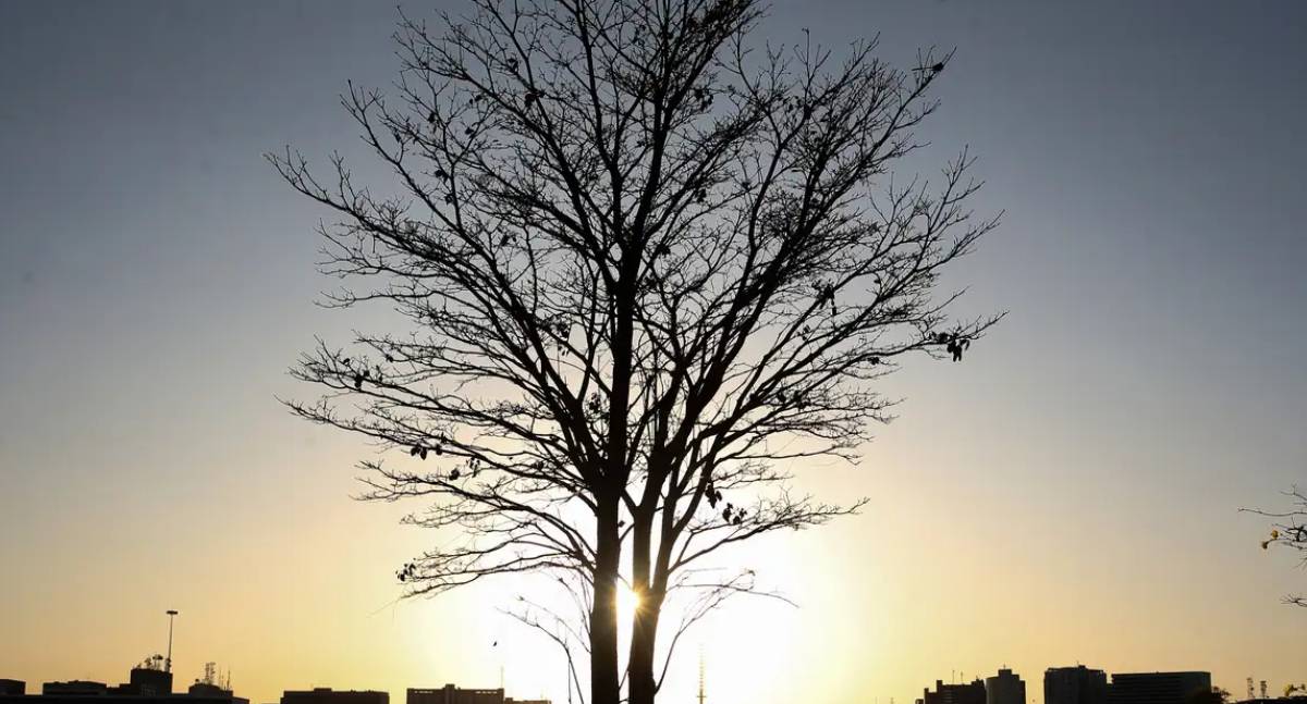 Cientista alerta para aquecimento global prolongado em evento na COP30