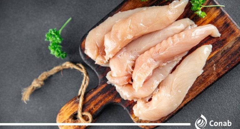 Conab projeta recorde na produção de carne de frango em 2026