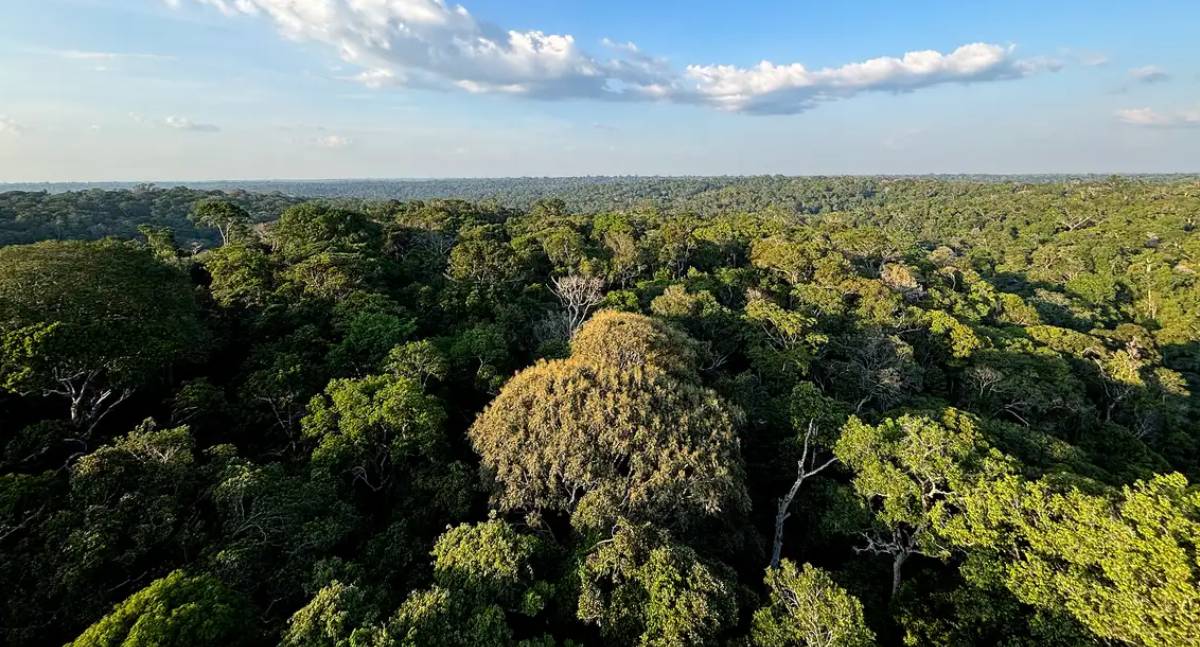 COP30 em Belém: o que é, quando acontece e o que será discutido