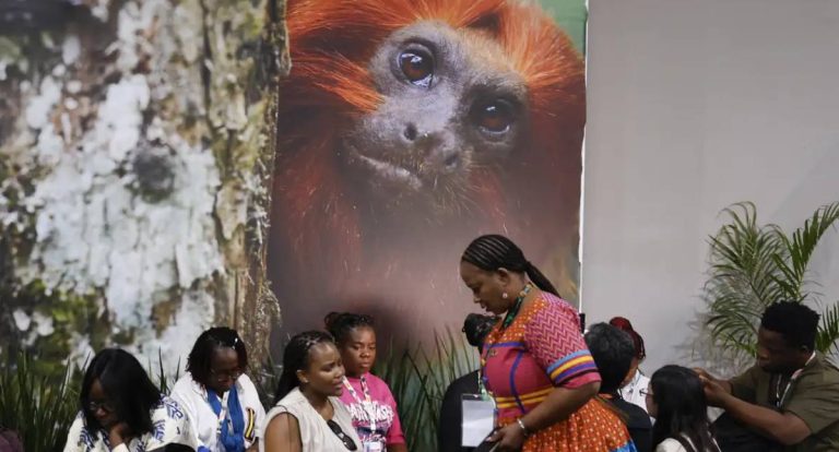 COP30: Financiamento Climático e Transição de Energia dominam negociações em Belém