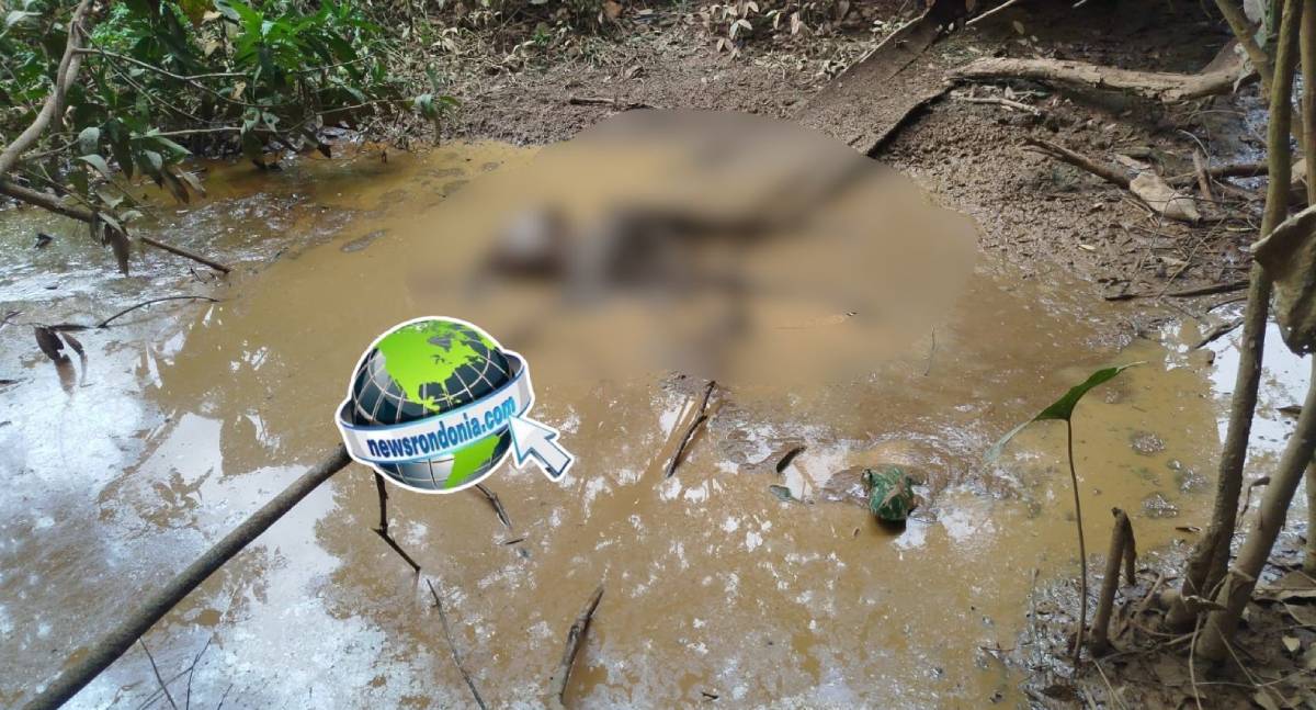 Corpo em decomposição é encontrado em matagal no bairro Aponiã