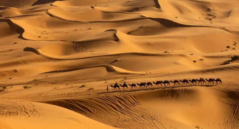 Deserto do Saara pode ter até 75% mais chuva nas próximas décadas, diz pesquisa