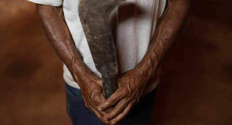 Desmatamento no Cerrado intensifica conflitos por terra e grilagem