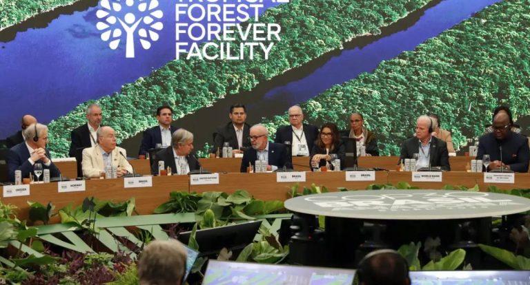 Entenda como funciona o Fundo Florestas Tropicais para Sempre (TFFF)