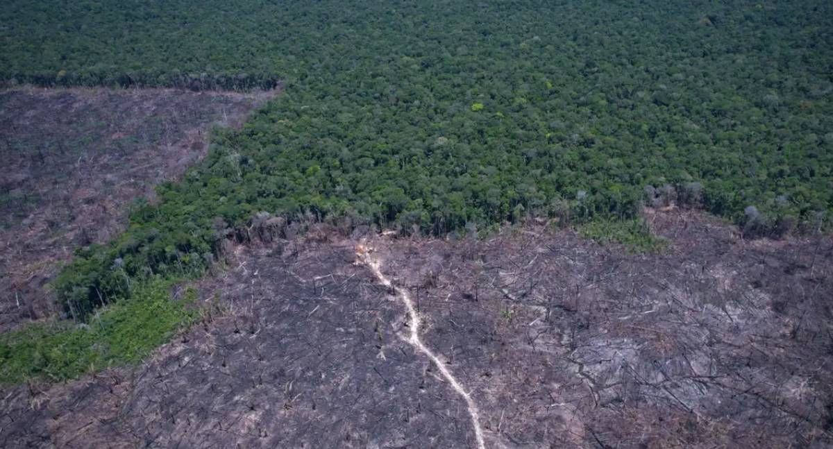 Estudo indica potencial para Brasil antecipar meta de carbono neutro
