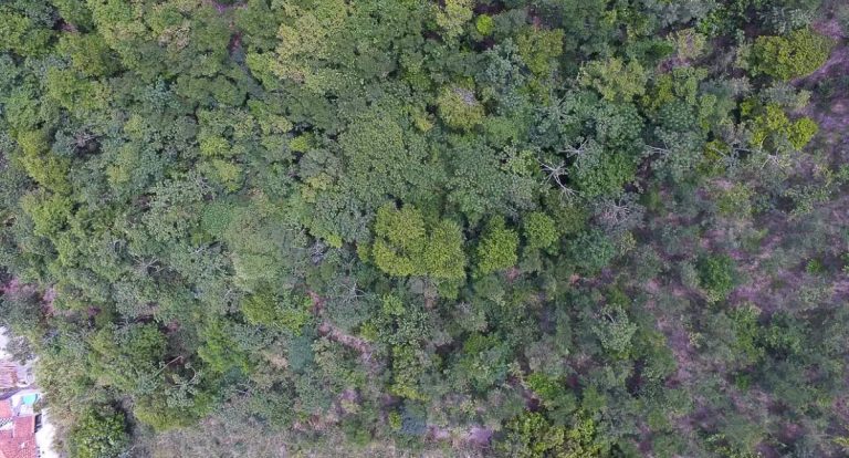 Exposição digital revela a vida e a resistência nos seis biomas brasileiros