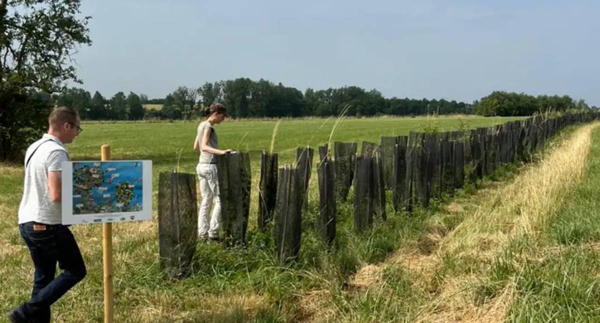 Floresta em pé, lavoura e árvores reduzem impacto de mudança climática