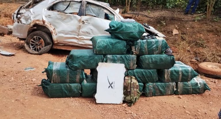 Forças de segurança apreendem 600kg de drogas na Zona da Mata