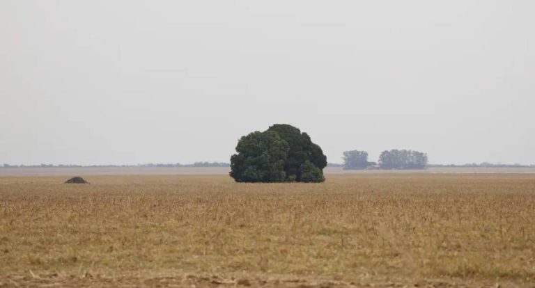 Fronteira Cerrado: o dilema entre o agronegócio, desenvolvimento e destruição
