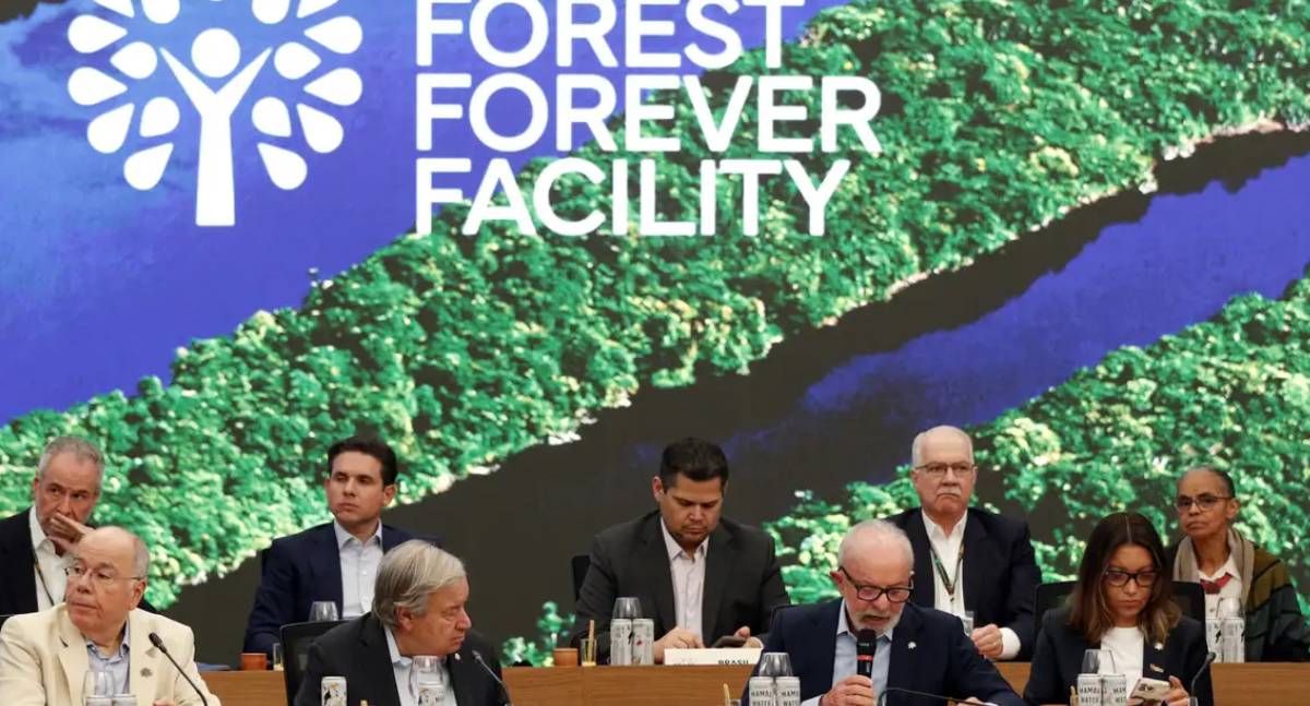 Fundo Florestas Tropicais atinge US$ 5,5 bilhões com aportes de Noruega, Indonésia e França
