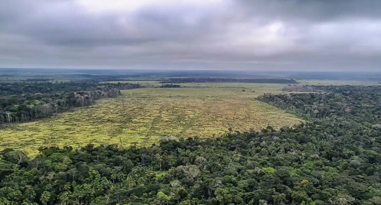 Governo defende vetos ao licenciamento ambiental e alerta sobre riscos climáticos