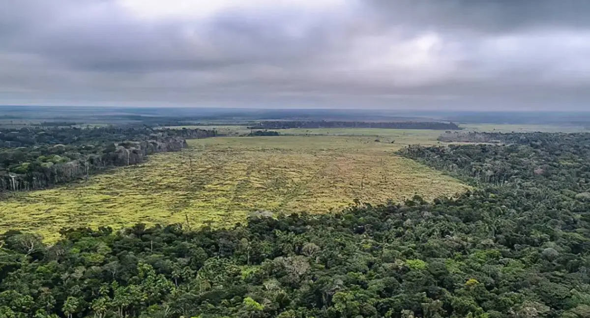 Governo defende vetos ao licenciamento ambiental e alerta sobre riscos climáticos