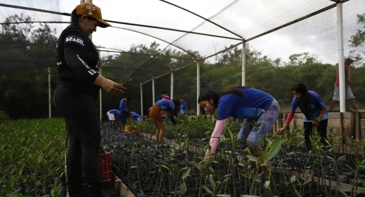 Governo e GEAPP fecham parceria para levar energia limpa à Amazônia