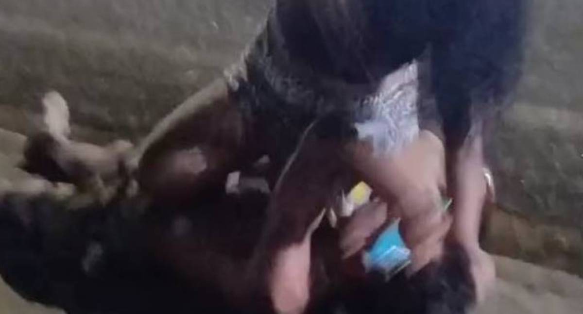 Homem é violentamente espancado por mulher em praça e caso vai para a polícia