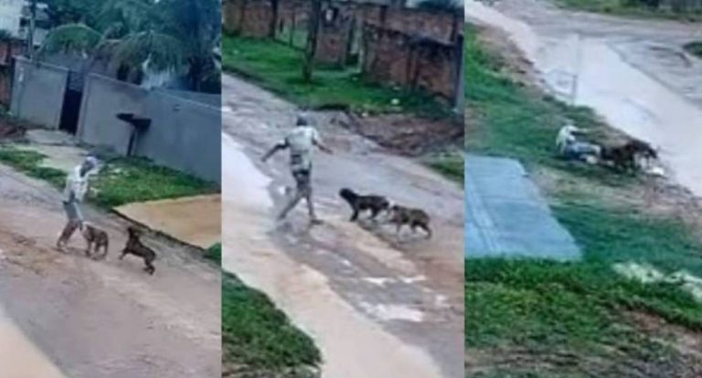 Idoso é atacado por cachorros e fica gravemente ferido