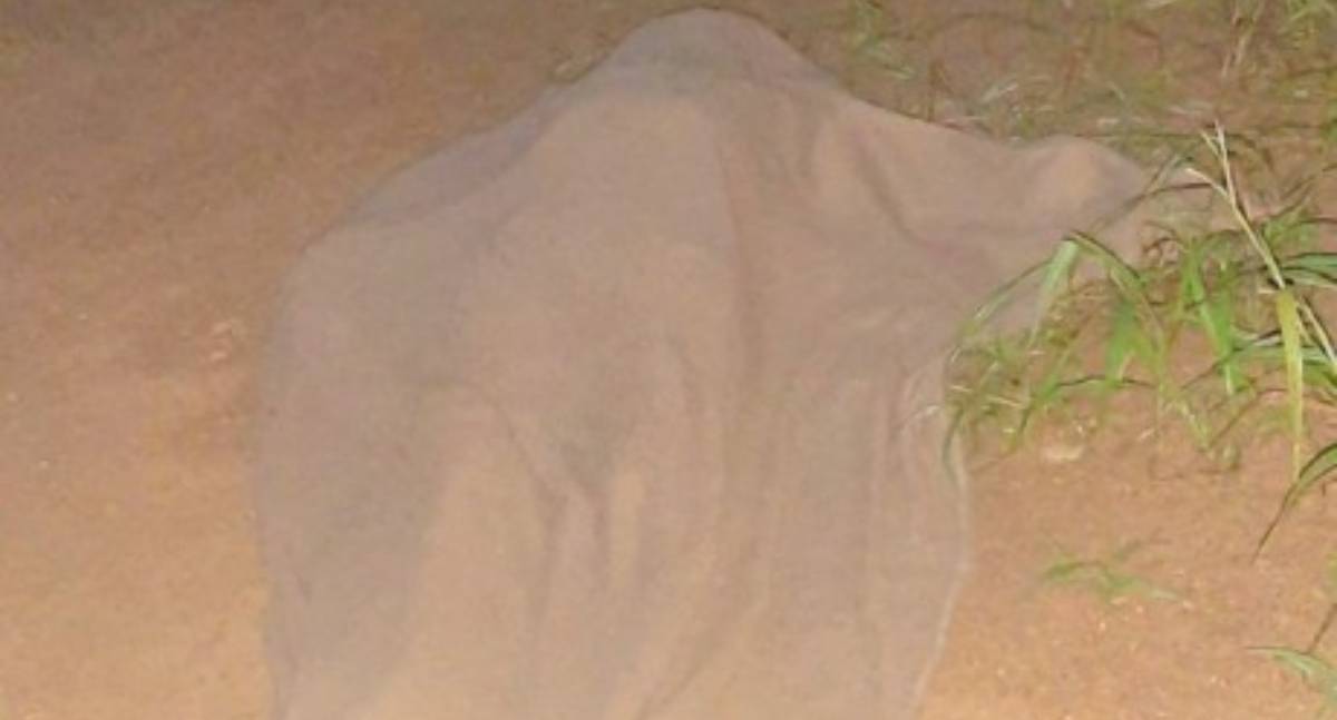 Indígena é encontrado morto às margens de estrada em reserva na zona rural de Jorge Teixeira