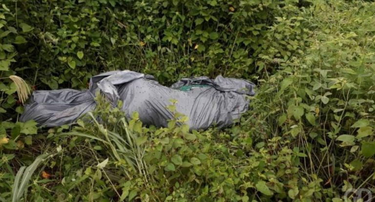 Mulher escuta assassinato do ex-marido ao telefone em RO