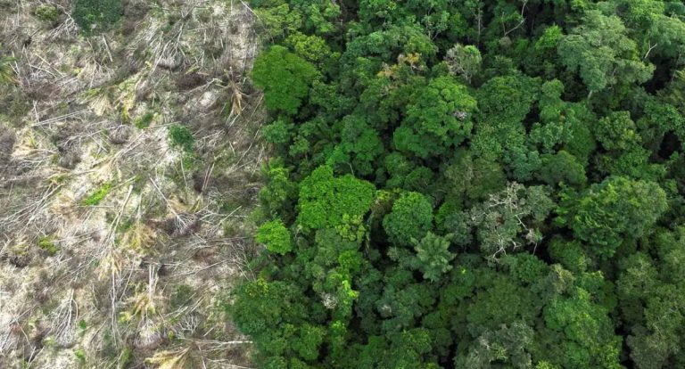 Municípios gastam R$ 732 bilhões com desastres climáticos em 11 anos