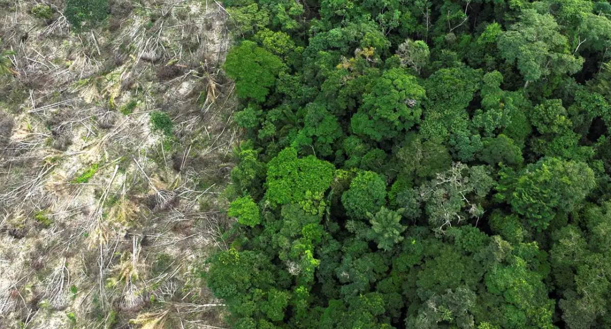 Municípios gastam R$ 732 bilhões com desastres climáticos em 11 anos