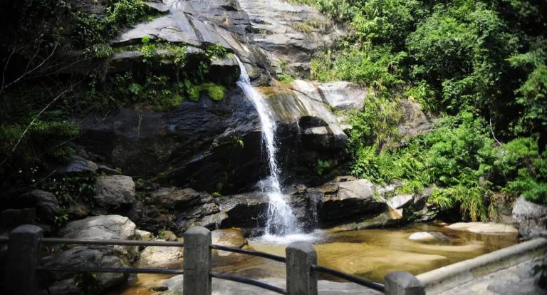 Parque Nacional da Tijuca promove feira de ciências focada em peixes e riachos