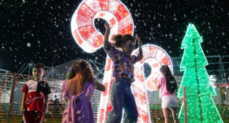 Passeio de trenzinho no Parque da Cidade reúne famílias em ação inclusiva